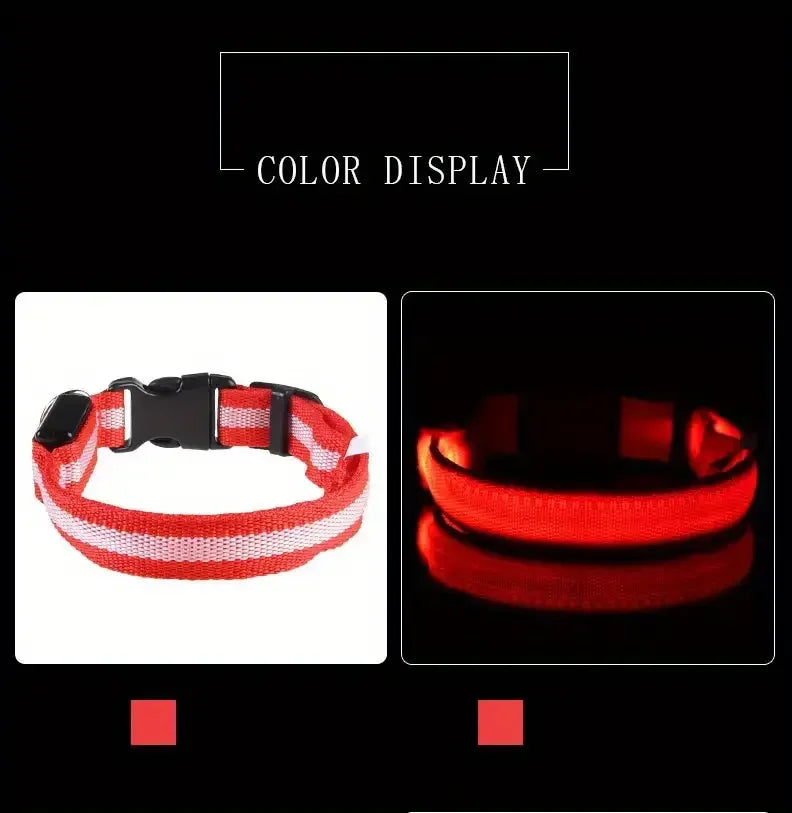 Nylon LED Pet Dog Collar, Night Safety Flashing Glow in The Dark Dog Leash, Dogs Luminous Fluorescent Collars Pet Supplies