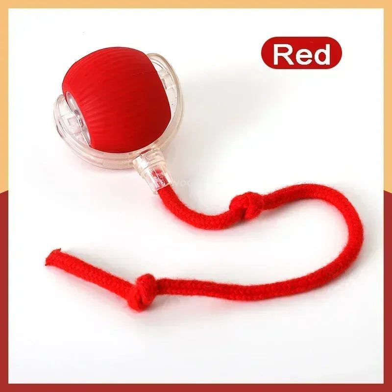 Smart Automatic Rolling Ball – Interactive Toy for Dogs & Cats