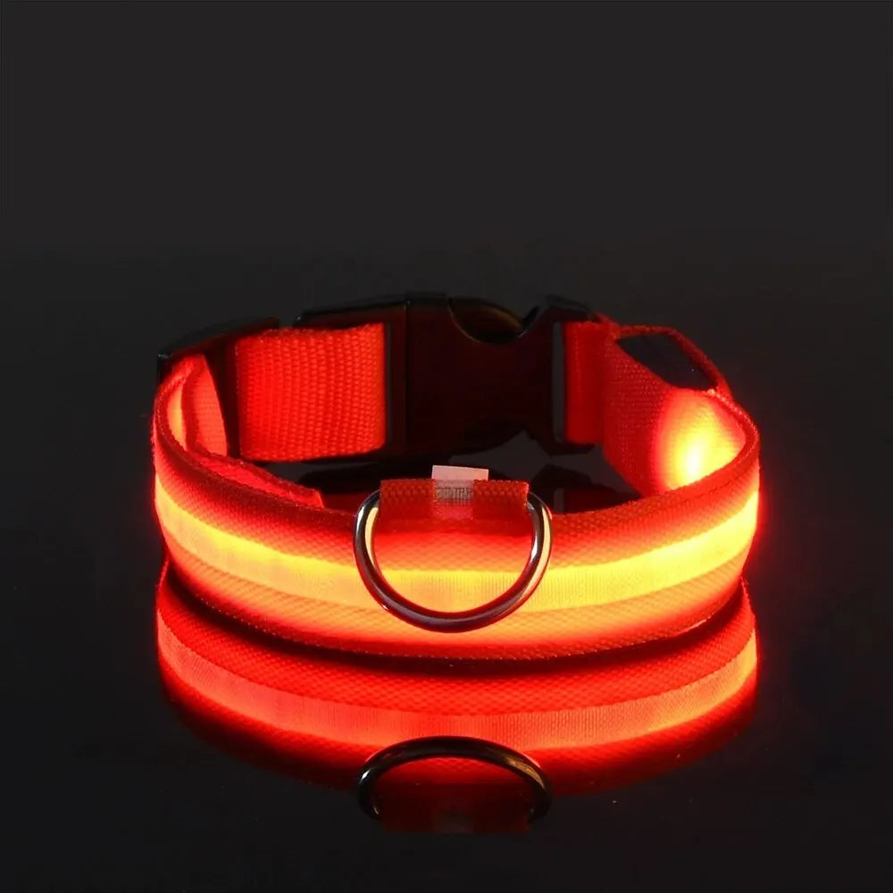 Nylon LED Pet Dog Collar, Night Safety Flashing Glow in The Dark Dog Leash, Dogs Luminous Fluorescent Collars Pet Supplies