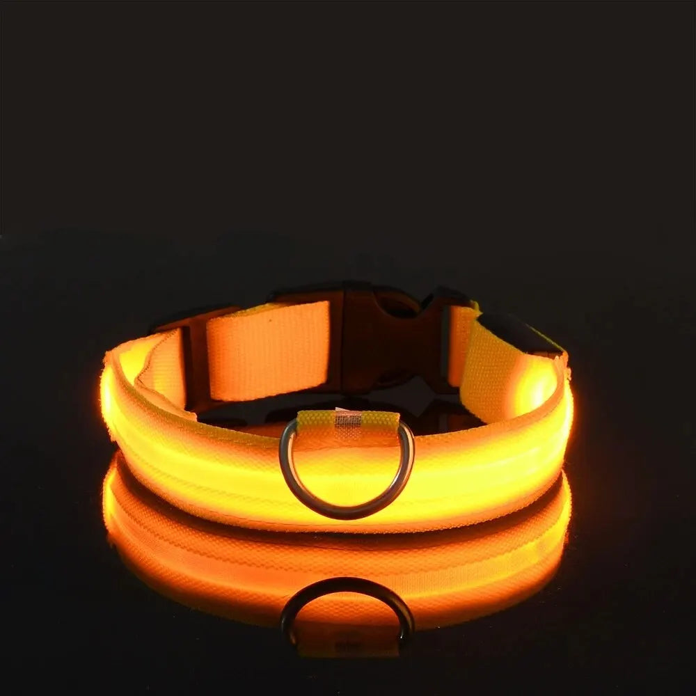 Nylon LED Pet Dog Collar, Night Safety Flashing Glow in The Dark Dog Leash, Dogs Luminous Fluorescent Collars Pet Supplies