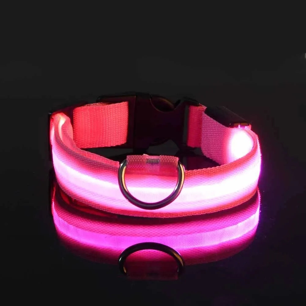 Nylon LED Pet Dog Collar, Night Safety Flashing Glow in The Dark Dog Leash, Dogs Luminous Fluorescent Collars Pet Supplies