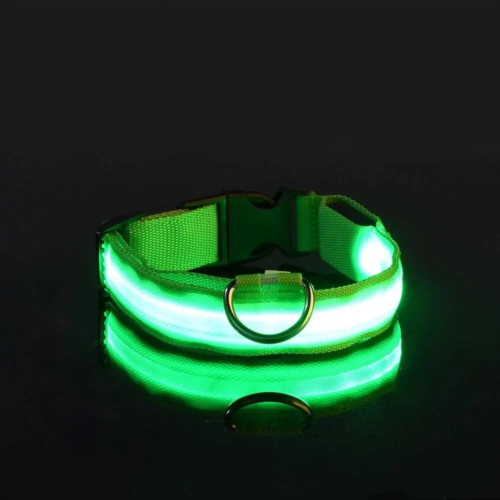 Nylon LED Pet Dog Collar, Night Safety Flashing Glow in The Dark Dog Leash, Dogs Luminous Fluorescent Collars Pet Supplies