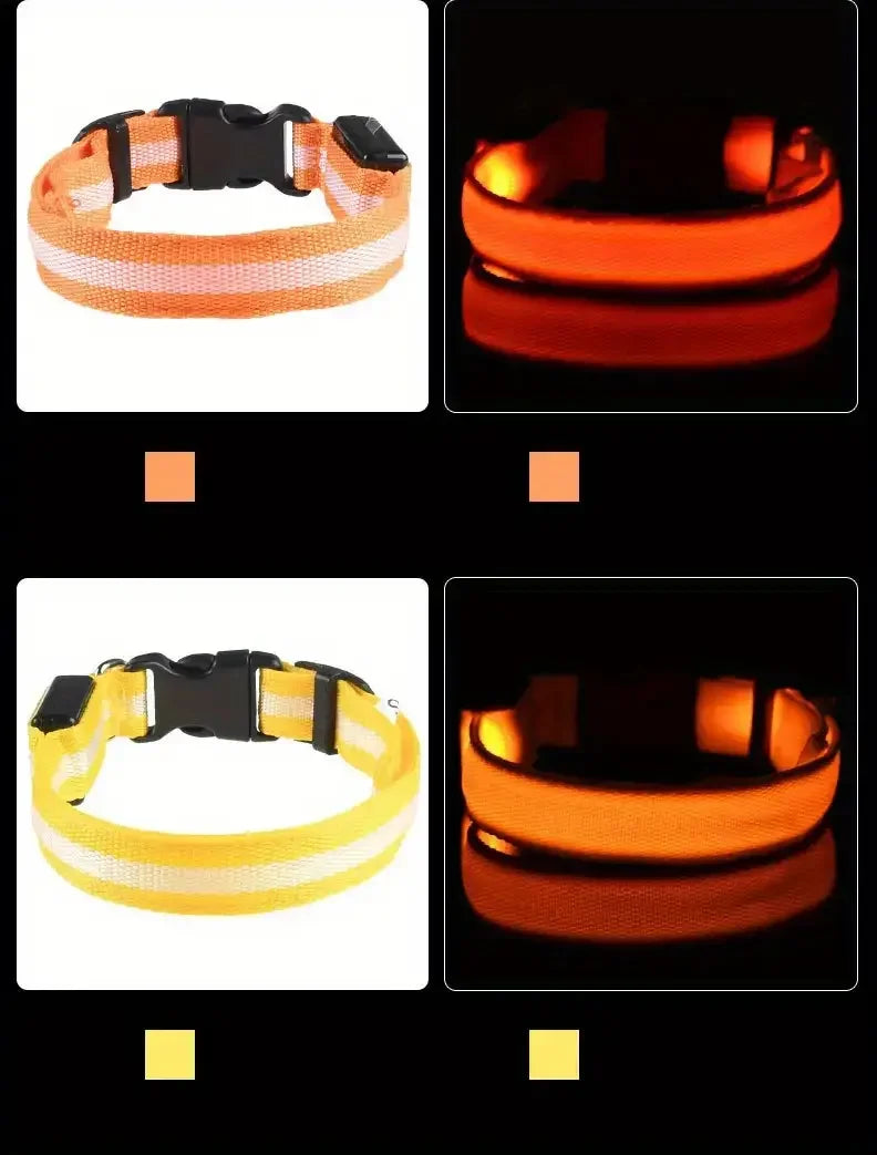 Nylon LED Pet Dog Collar, Night Safety Flashing Glow in The Dark Dog Leash, Dogs Luminous Fluorescent Collars Pet Supplies