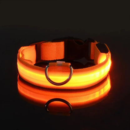 Nylon LED Pet Dog Collar, Night Safety Flashing Glow in The Dark Dog Leash, Dogs Luminous Fluorescent Collars Pet Supplies