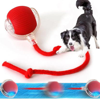 Smart Automatic Rolling Ball – Interactive Toy for Dogs & Cats