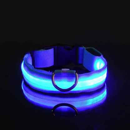 Nylon LED Pet Dog Collar, Night Safety Flashing Glow in The Dark Dog Leash, Dogs Luminous Fluorescent Collars Pet Supplies