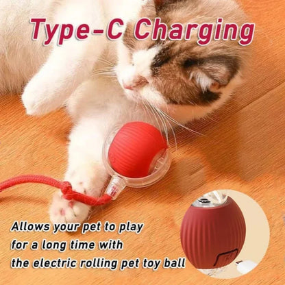 Smart Automatic Rolling Ball – Interactive Toy for Dogs & Cats