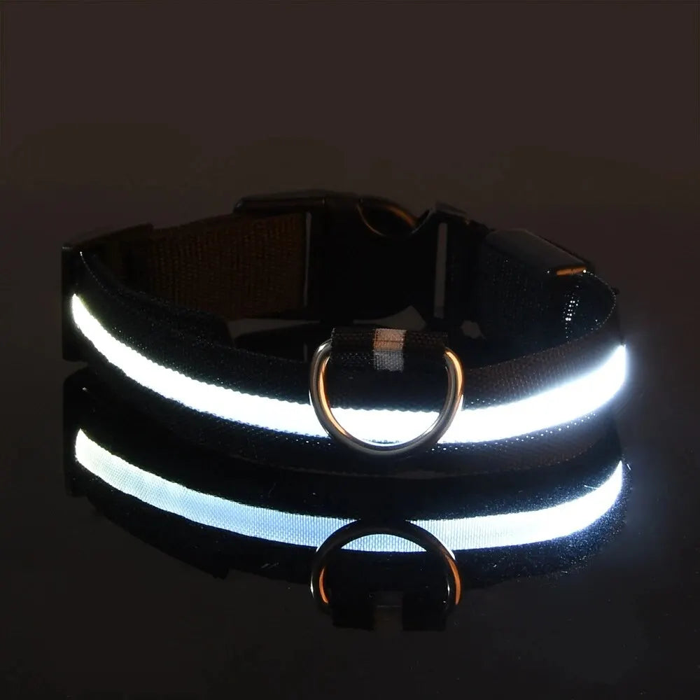 Nylon LED Pet Dog Collar, Night Safety Flashing Glow in The Dark Dog Leash, Dogs Luminous Fluorescent Collars Pet Supplies