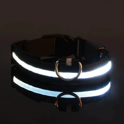 Nylon LED Pet Dog Collar, Night Safety Flashing Glow in The Dark Dog Leash, Dogs Luminous Fluorescent Collars Pet Supplies