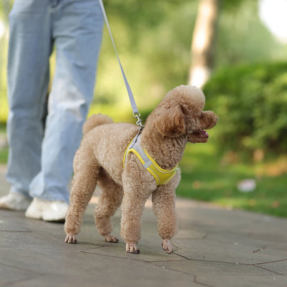 Dog Harness Leash Set