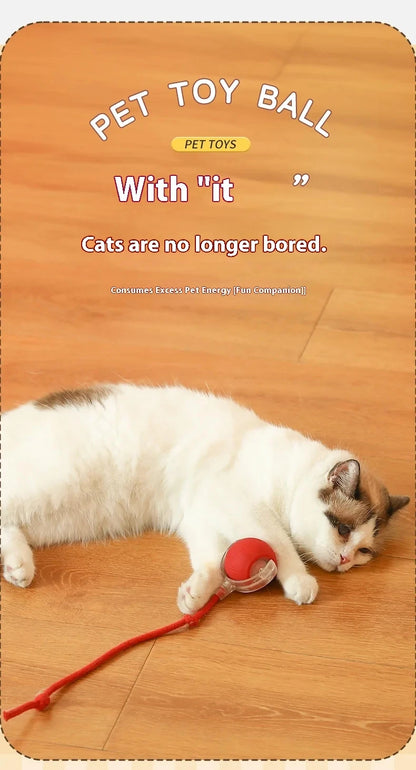 Smart Automatic Rolling Ball – Interactive Toy for Dogs & Cats