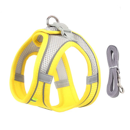 Dog Harness Leash Set
